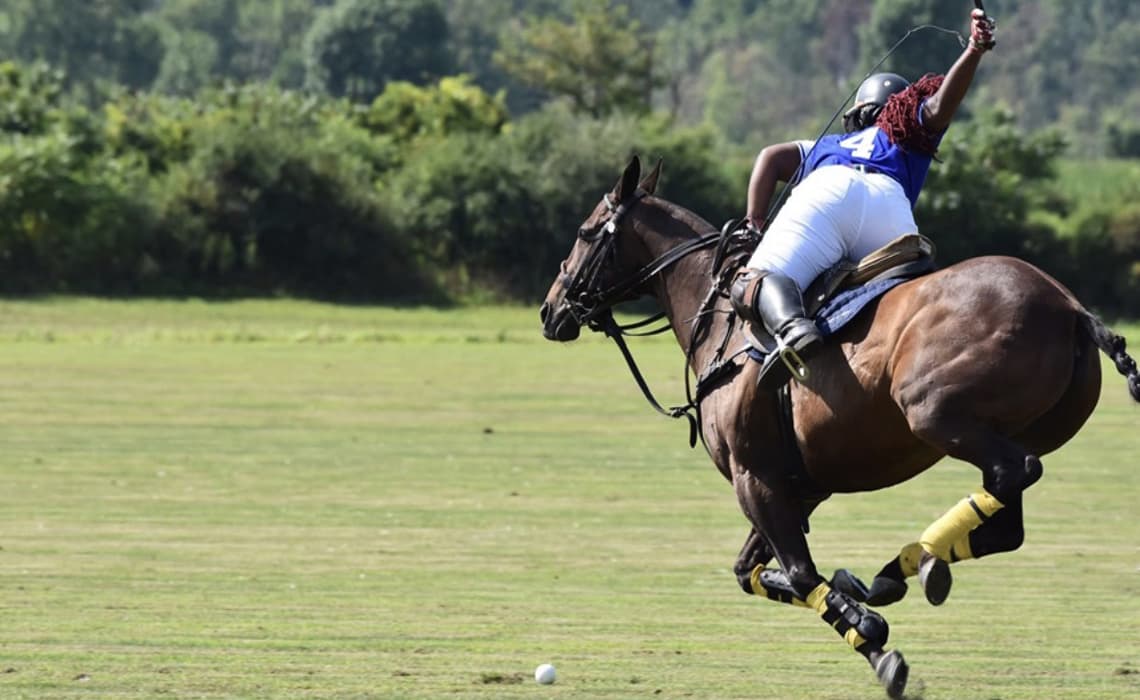 History of polo in Iran